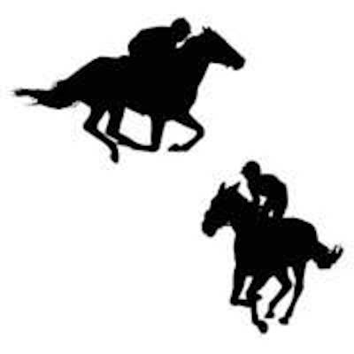 Horse racing system 